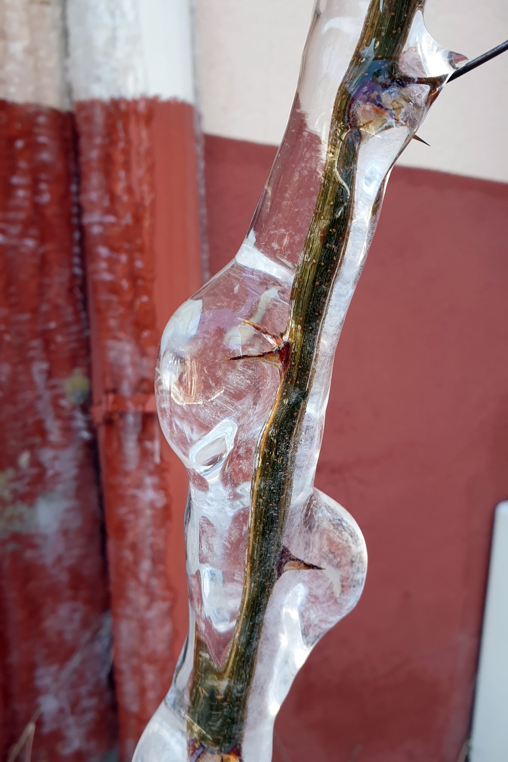 Gümüşhane yılın soğuk gecesini yaşadı 1