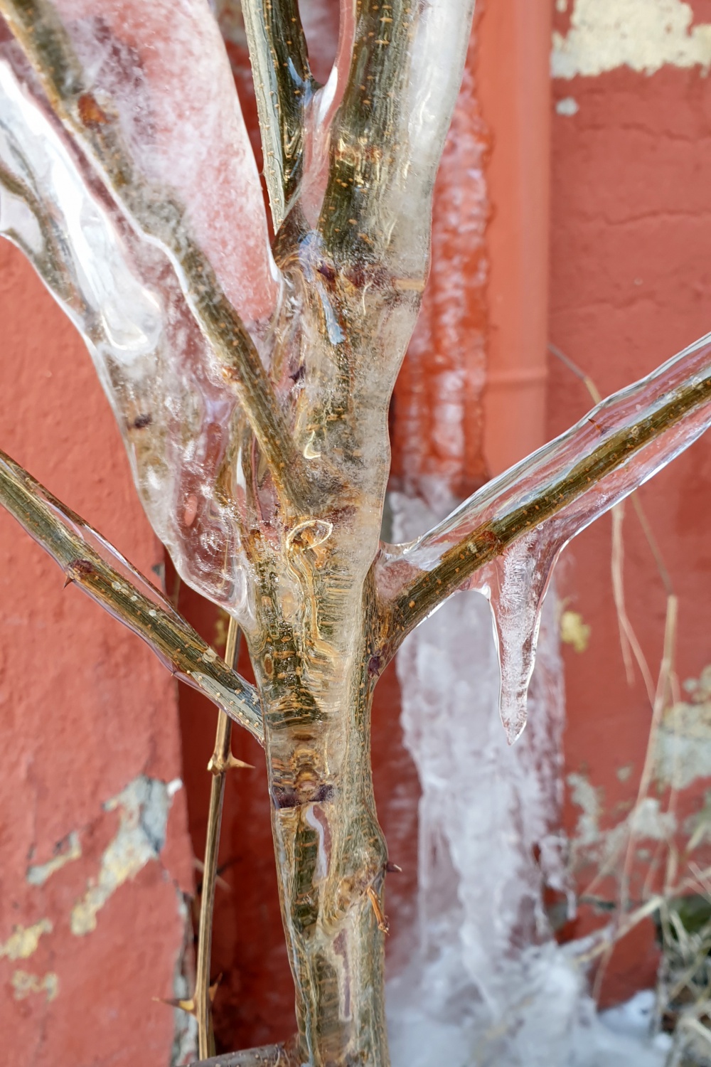 Gümüşhane yılın soğuk gecesini yaşadı 2