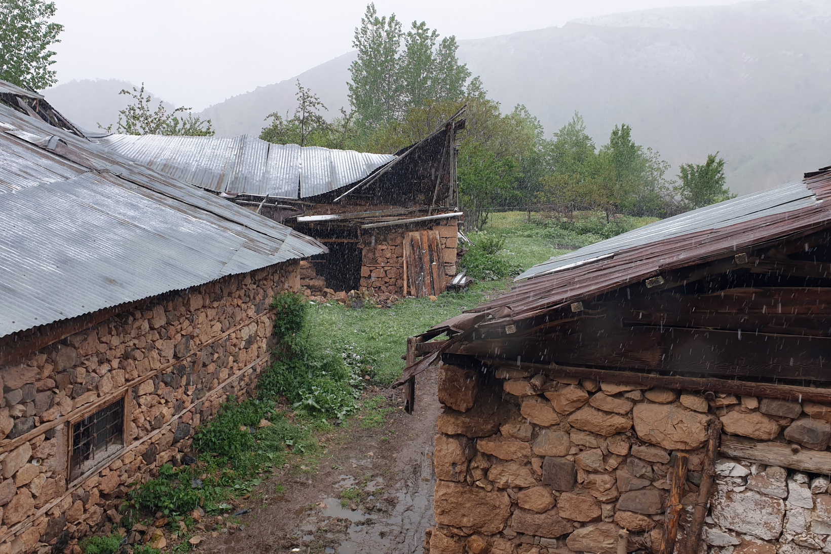 Gümüşhane’nin yükseklerinde kar yağışı etkili oluyor 1
