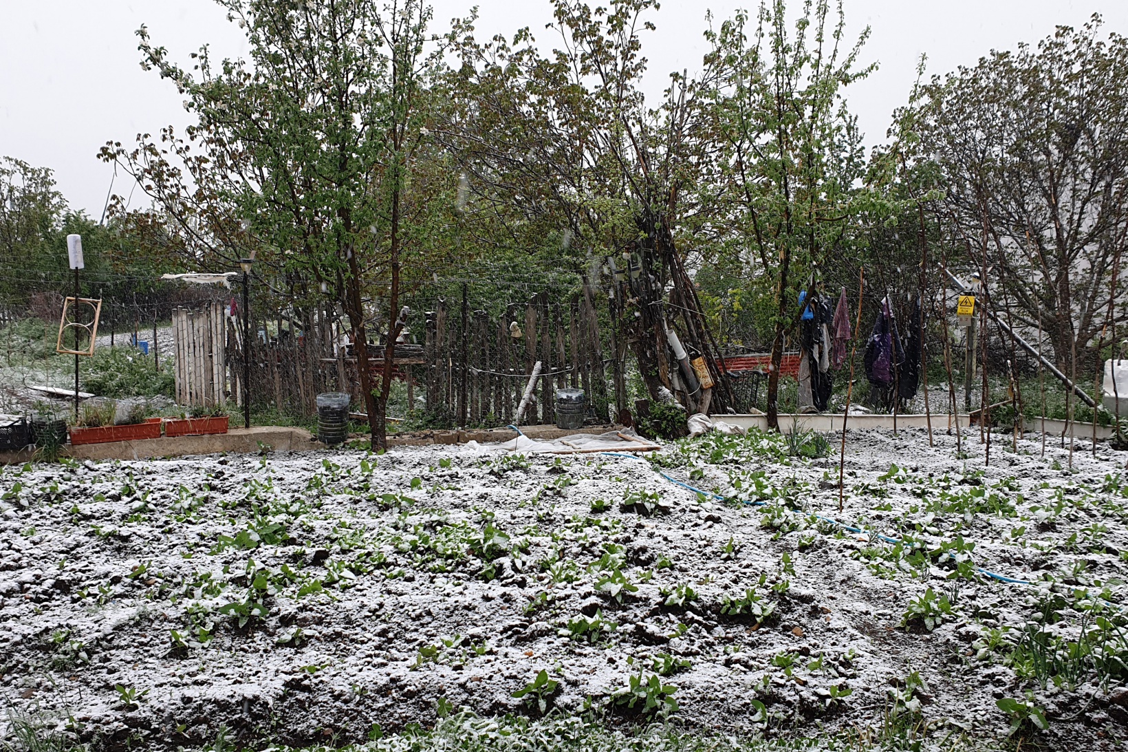 Gümüşhane’nin yükseklerinde kar yağışı etkili oluyor 14