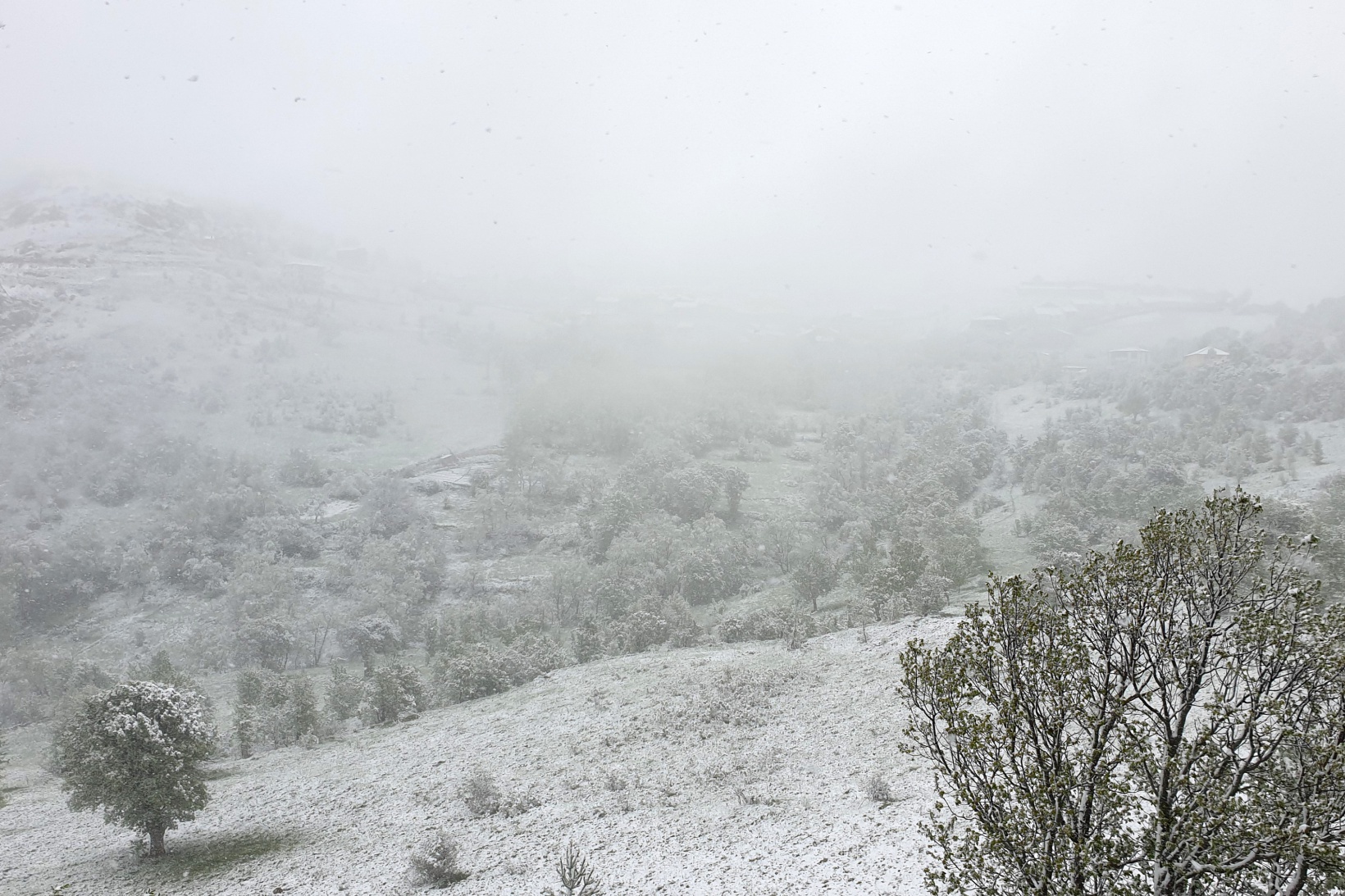 Gümüşhane’nin yükseklerinde kar yağışı etkili oluyor 7