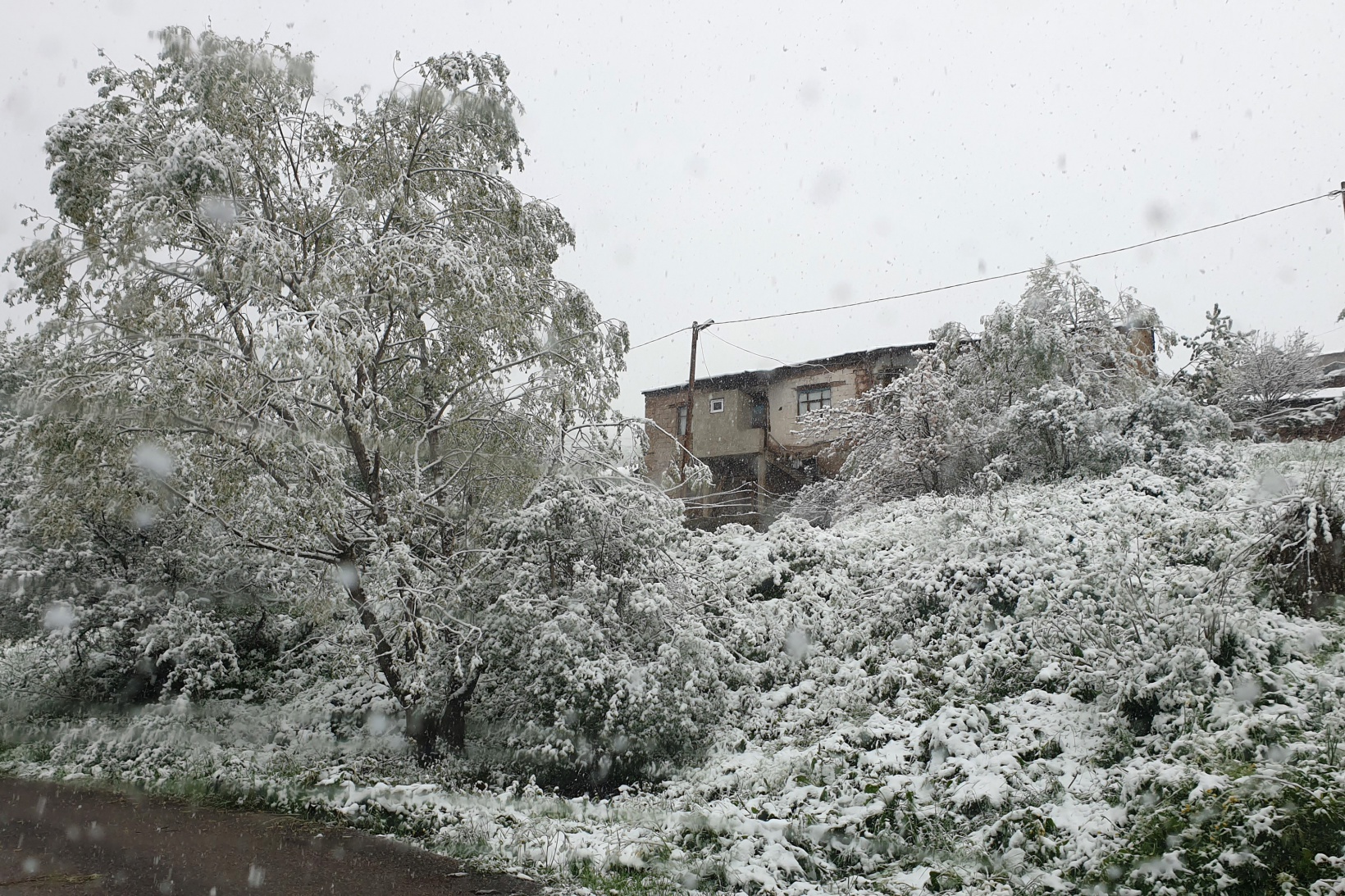Gümüşhane’nin yükseklerinde kar yağışı etkili oluyor 15