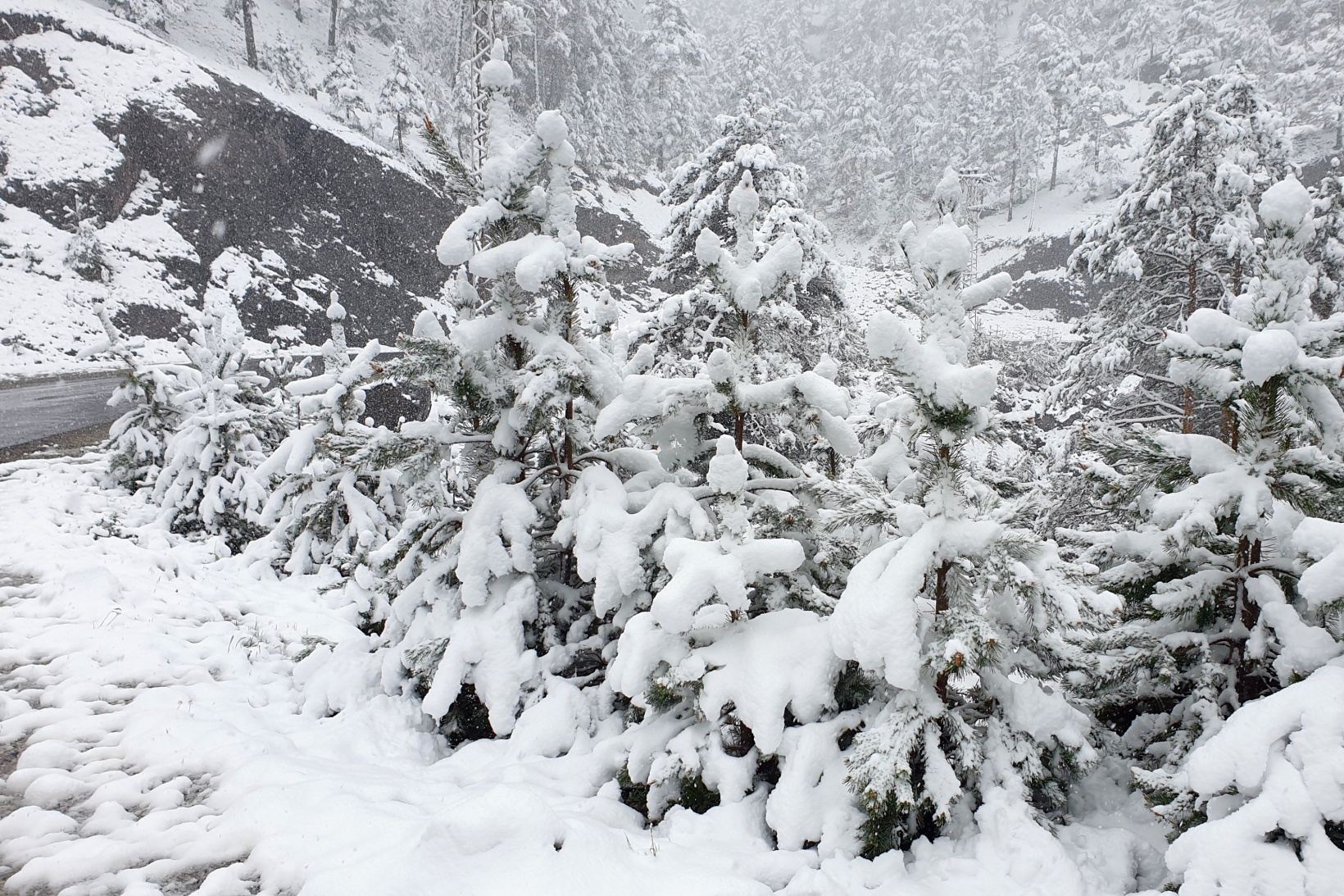 Gümüşhane’nin yükseklerinde kar yağışı etkili oluyor 4