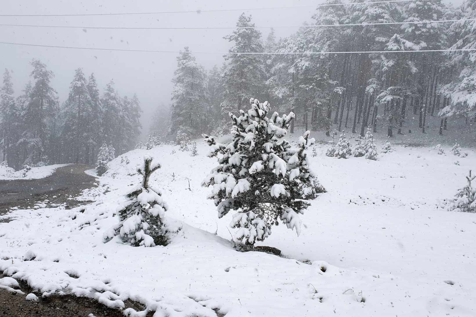 Gümüşhane’nin yükseklerinde kar yağışı etkili oluyor 2