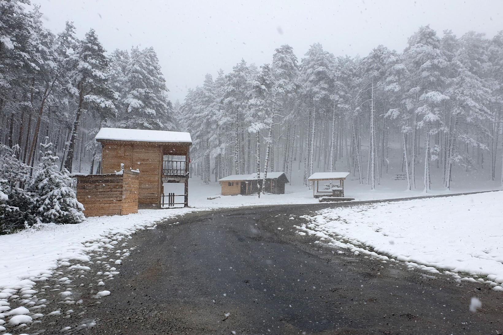 Gümüşhane’nin yükseklerinde kar yağışı etkili oluyor 3