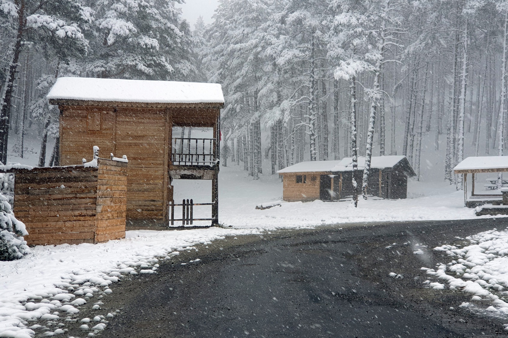 Gümüşhane’nin yükseklerinde kar yağışı etkili oluyor 5
