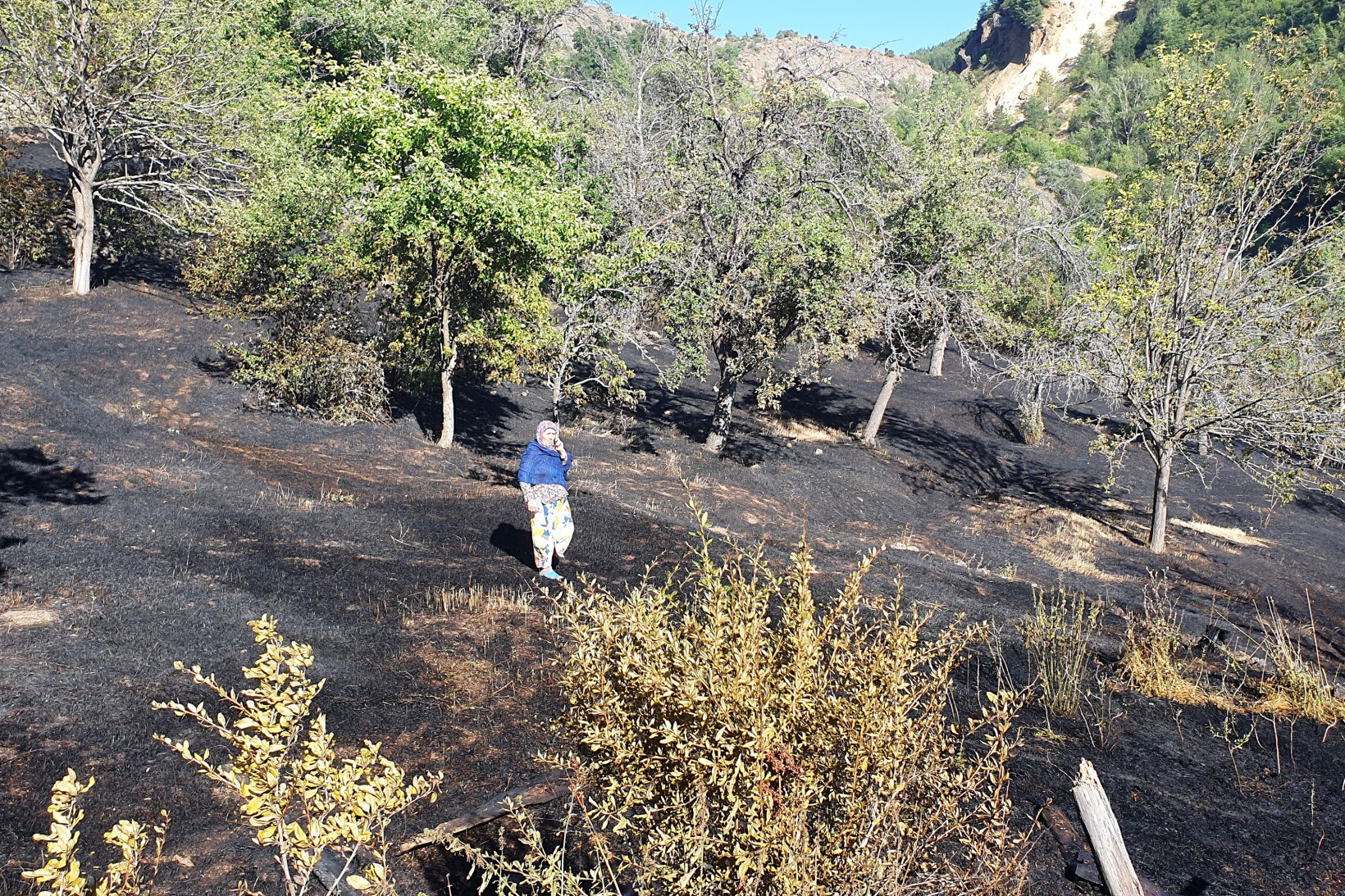 Gümüşhane'deki yangında bahçeler küle döndü 37