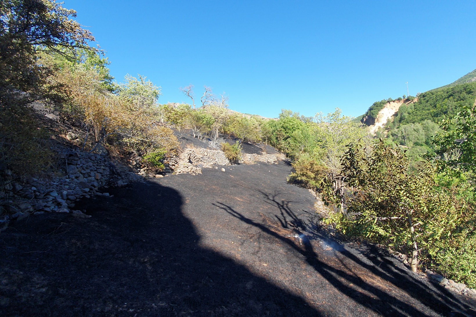Gümüşhane'deki yangında bahçeler küle döndü 27