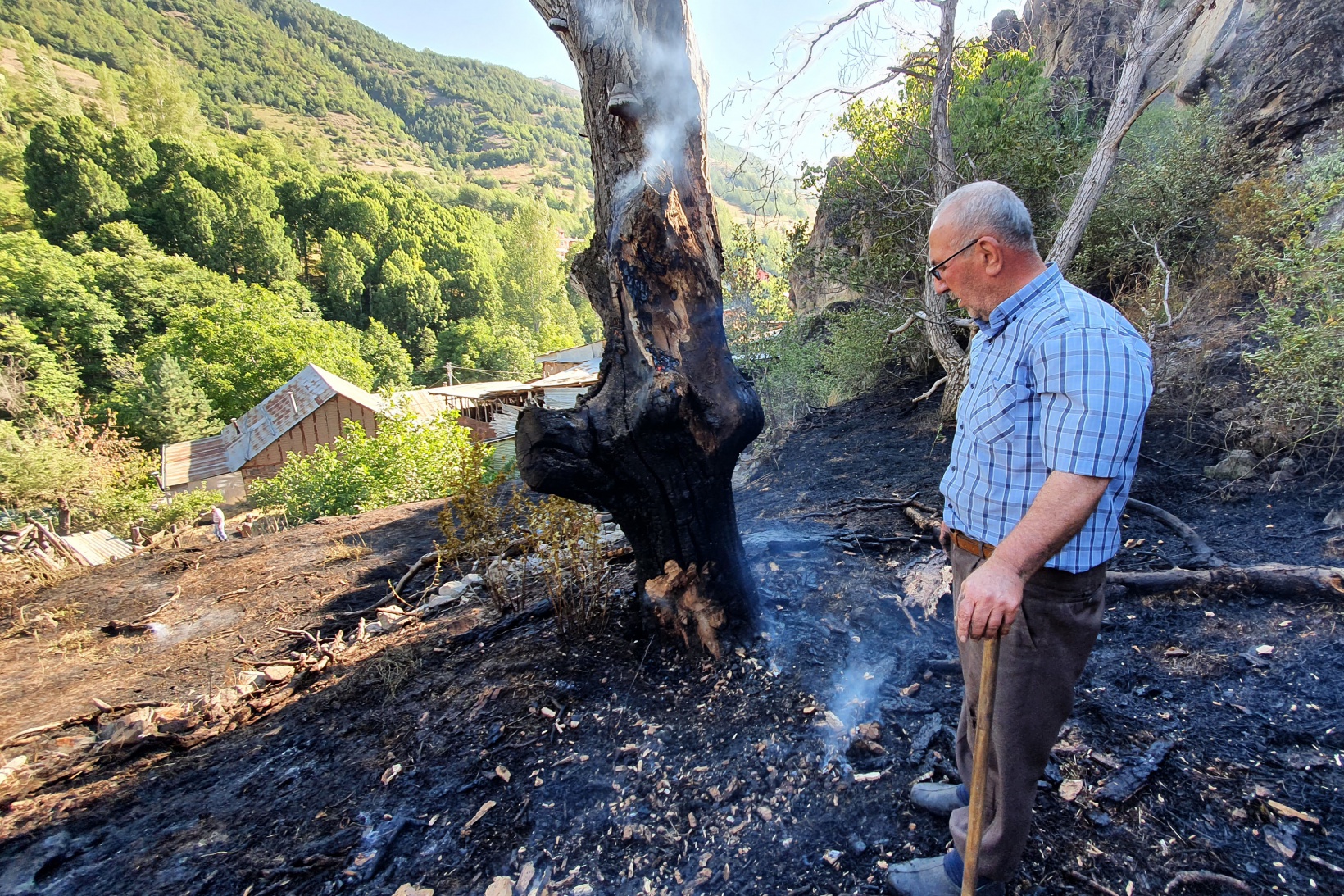 Gümüşhane'deki yangında bahçeler küle döndü 29