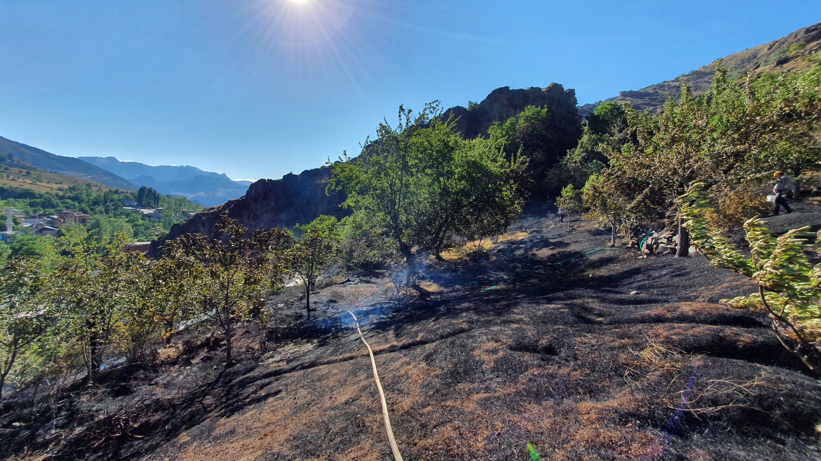 Gümüşhane'deki yangında bahçeler küle döndü 3