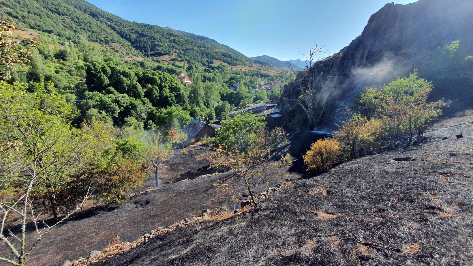 Gümüşhane'deki yangında bahçeler küle döndü 4