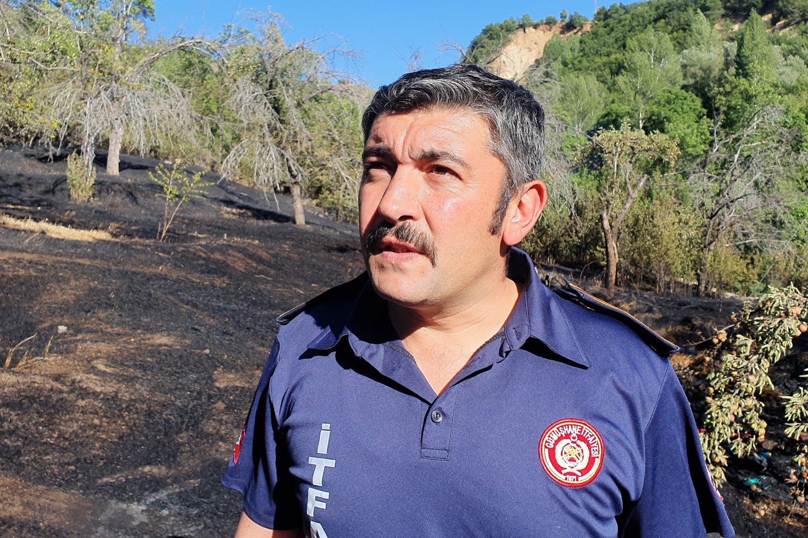 Gümüşhane'deki yangında bahçeler küle döndü 25