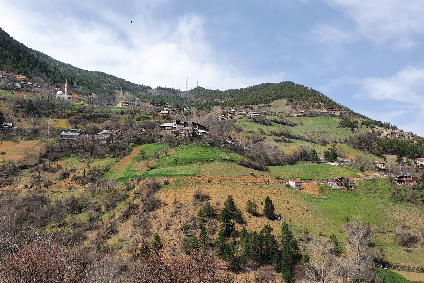 Torul'da yaşlılar artık çok mutlu 21