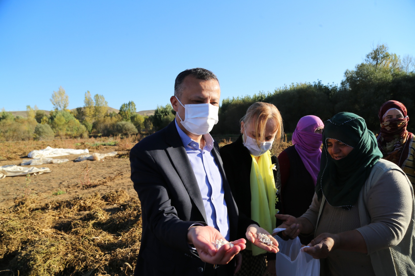 Vali Taşbilek Köse’de kuru fasulye hasadına katıldı 10