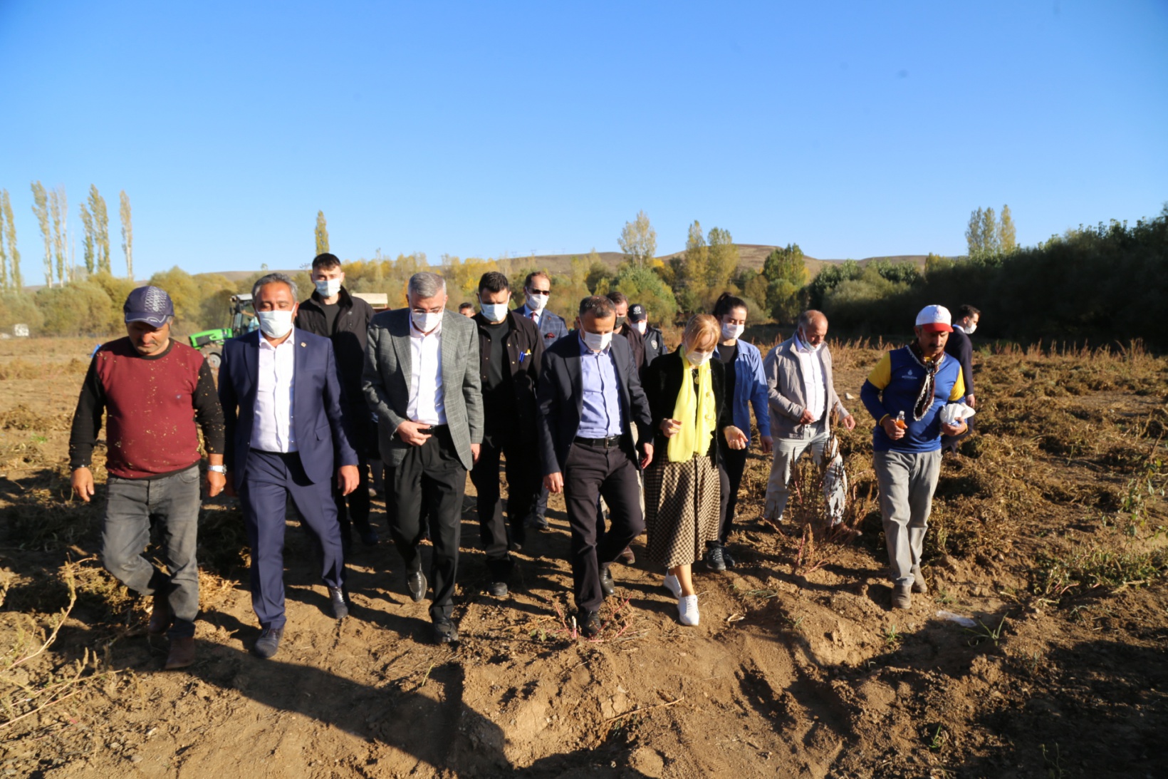 Vali Taşbilek Köse’de kuru fasulye hasadına katıldı 12