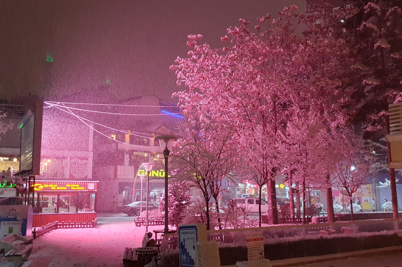 Gümüşhane kar yağışının ardından panayır alanına döndü 15