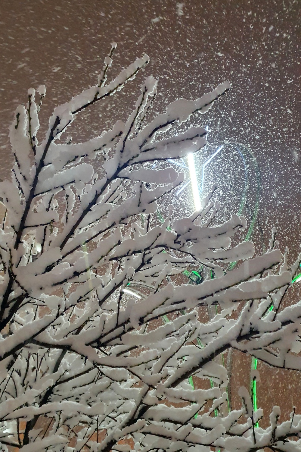 Gümüşhane kar yağışının ardından panayır alanına döndü 9