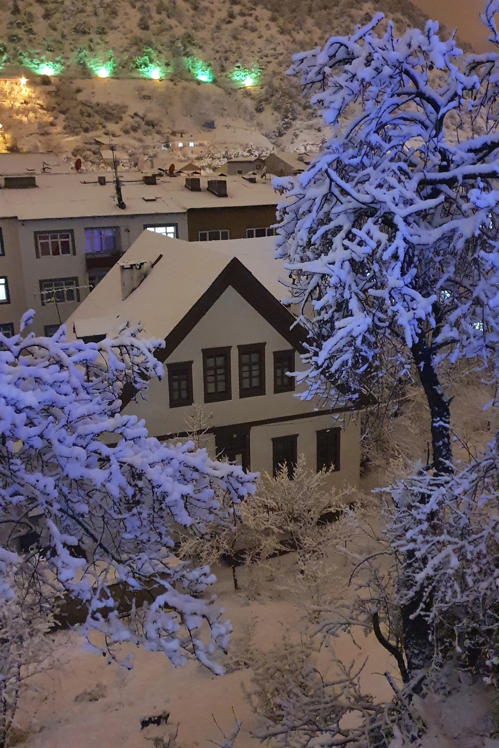 Gümüşhane kar yağışının ardından panayır alanına döndü 14