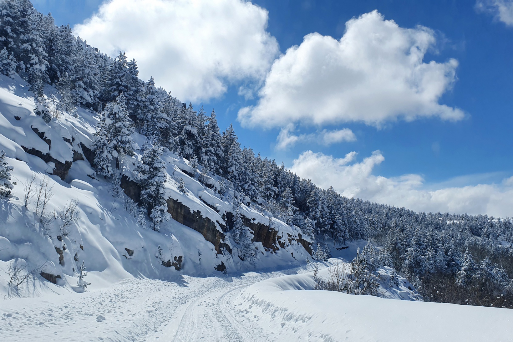 Gümüşhane’nin kapalı köy yollarında hummalı çalışma 6