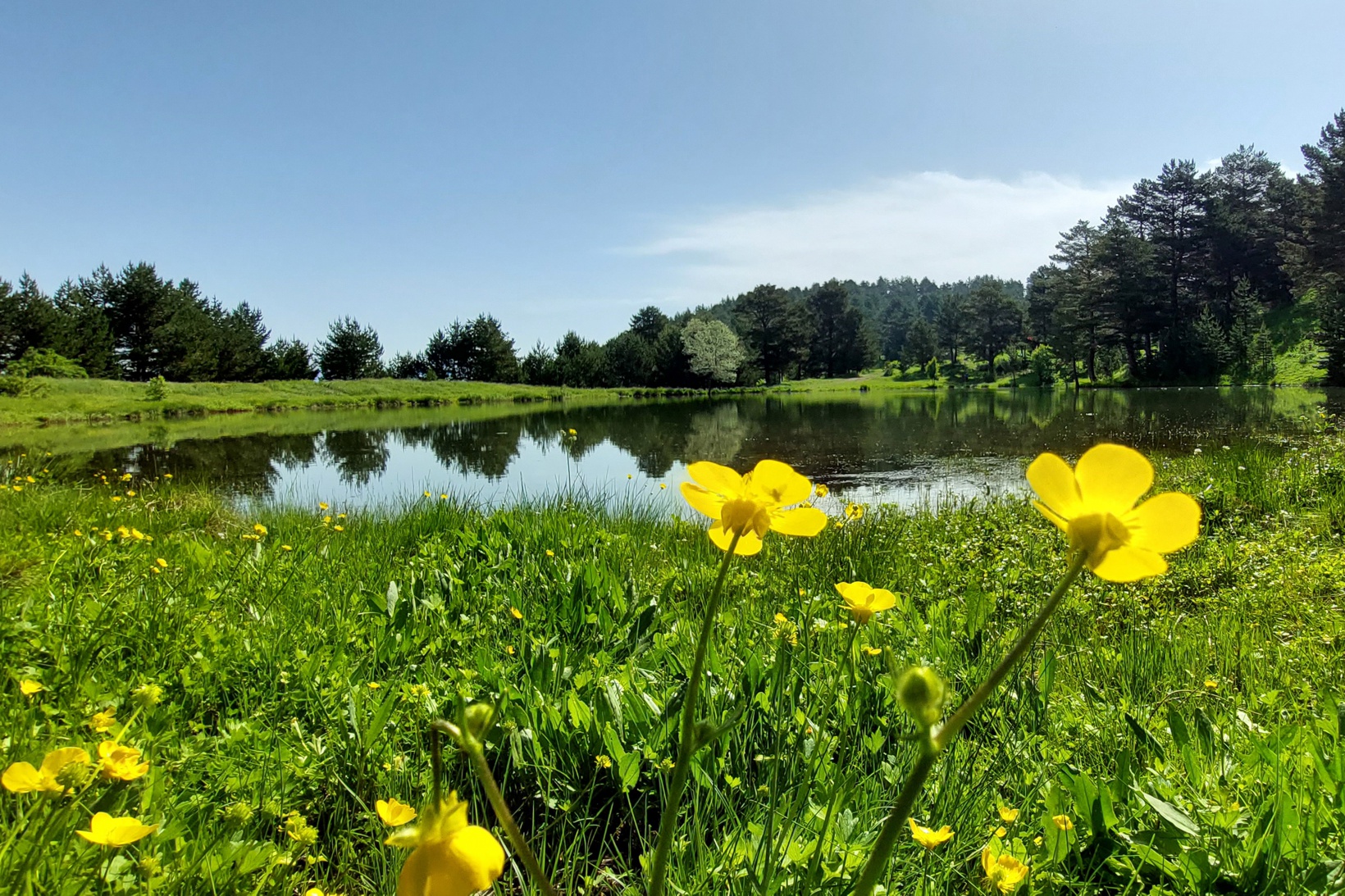 Gümüşhaneli doğaseverler Altınpınar Gölünde kamp kurdu 31