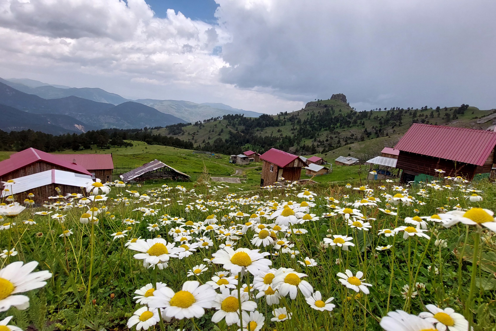 Gümüşhaneli doğaseverler Altınpınar Gölünde kamp kurdu 21
