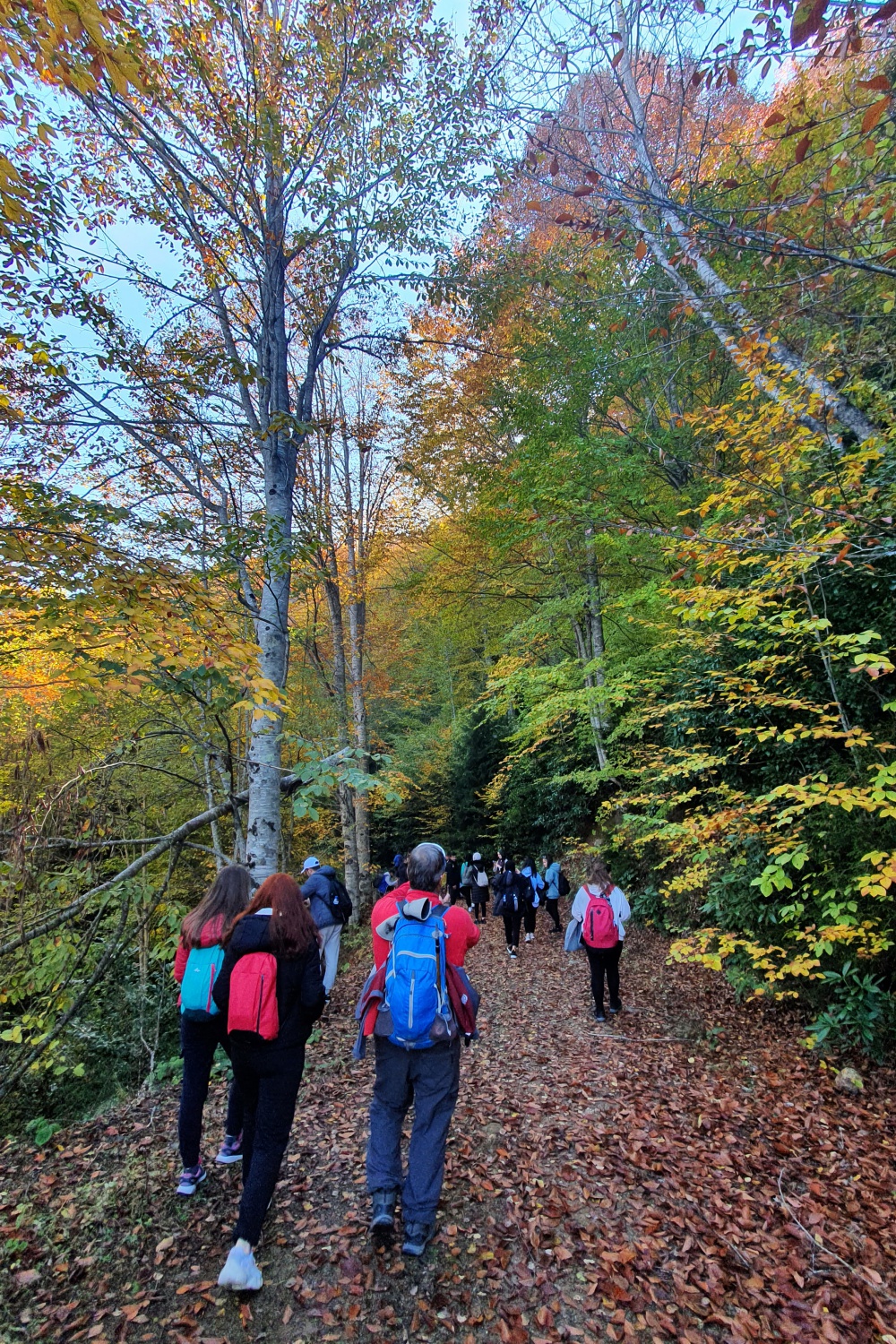 Eşsiz manzarayı görmek için canlı ağaç müzesine akın ettiler 14