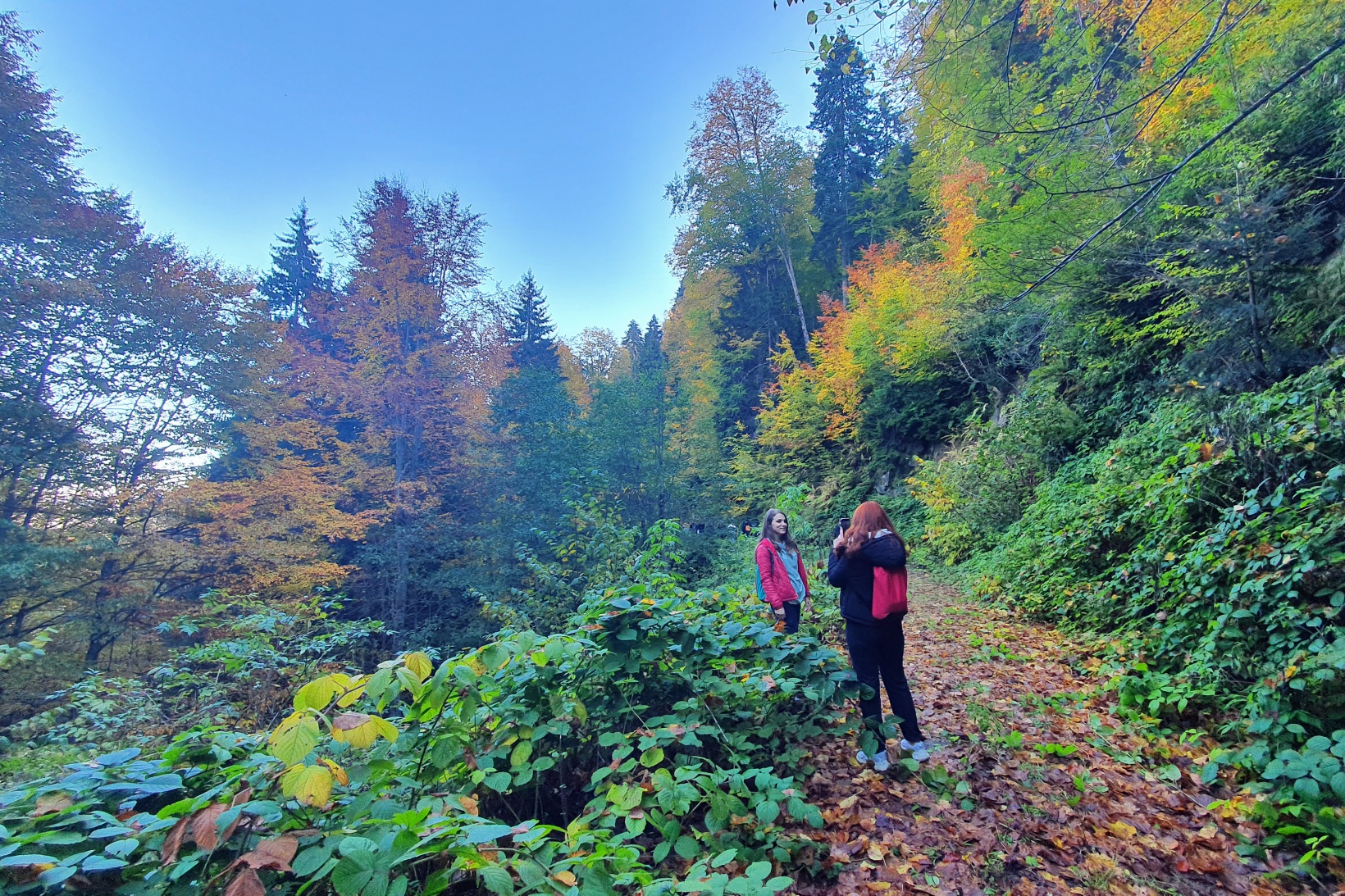 Eşsiz manzarayı görmek için canlı ağaç müzesine akın ettiler 21