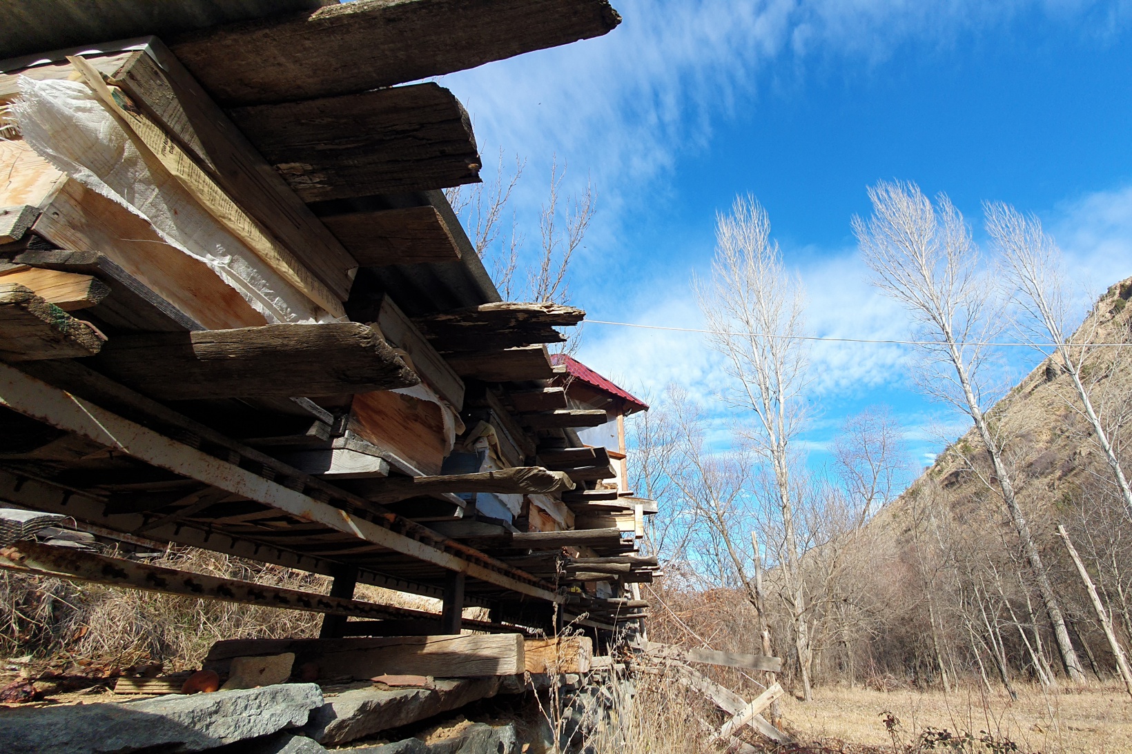 Gümüşhane’de kuraklık arıların dengesini değiştirdi 12