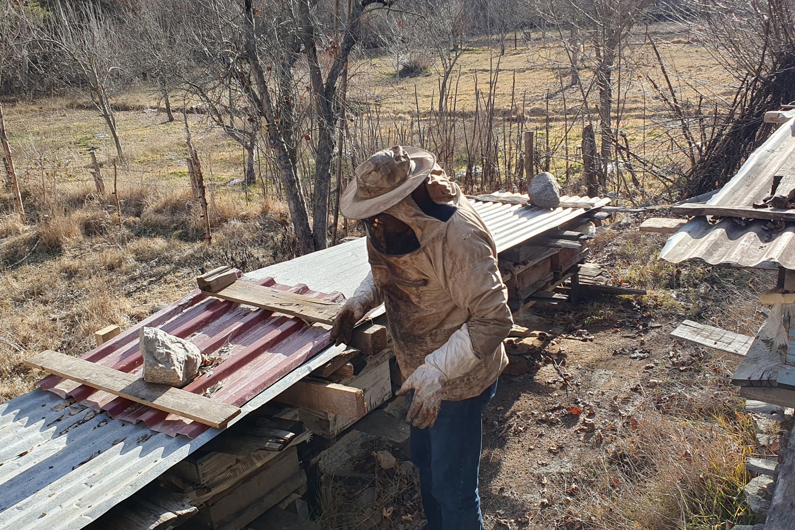 Gümüşhane’de kuraklık arıların dengesini değiştirdi 13