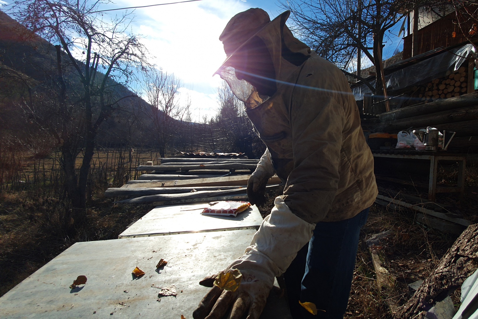 Gümüşhane’de kuraklık arıların dengesini değiştirdi 6