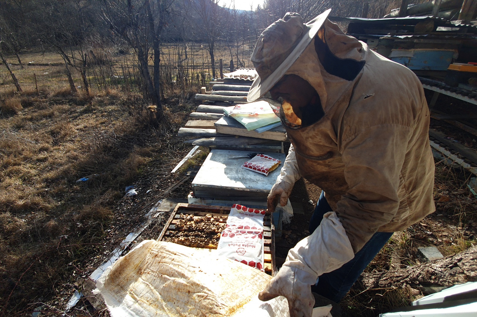 Gümüşhane’de kuraklık arıların dengesini değiştirdi 11