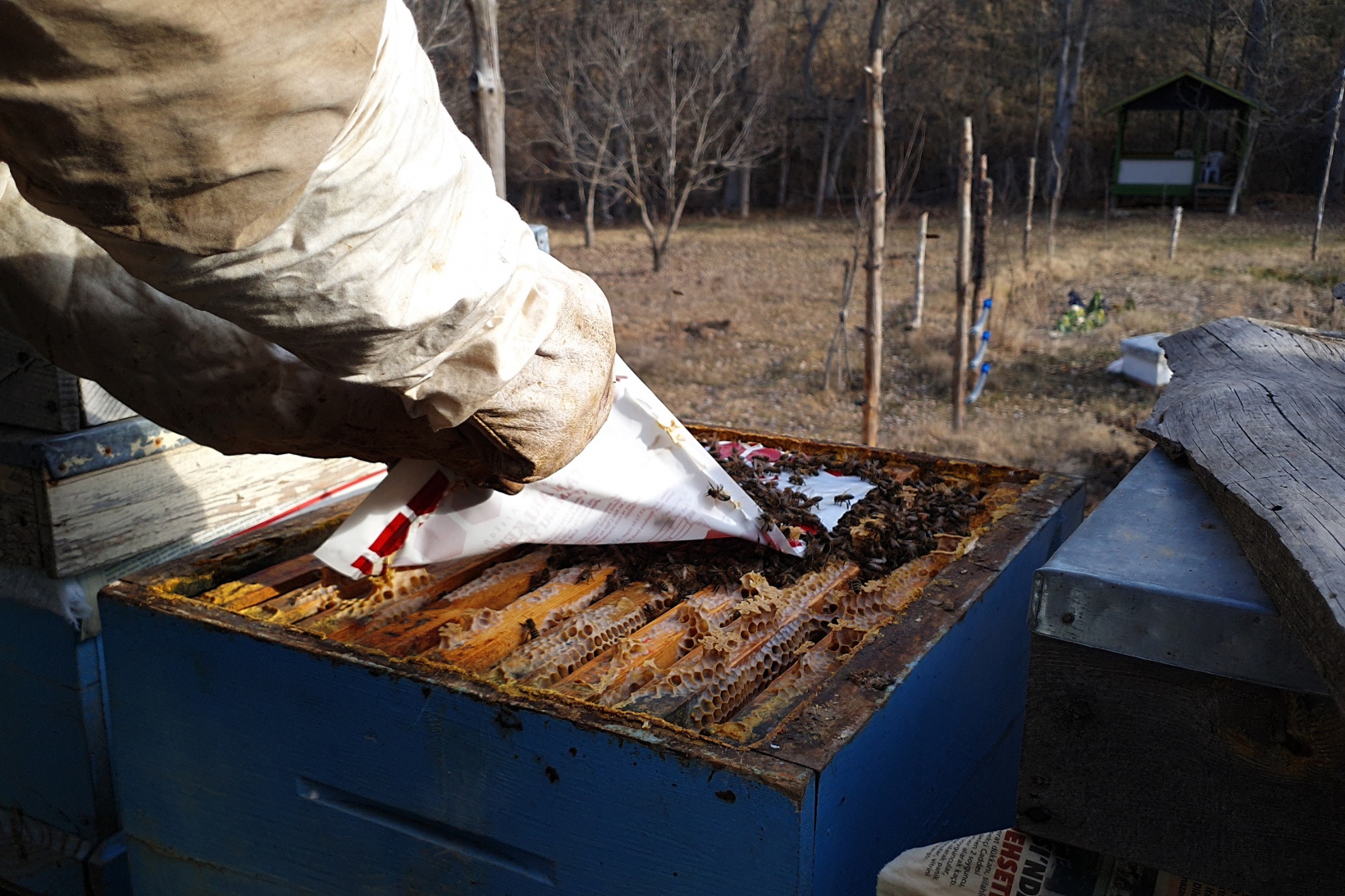 Gümüşhane’de kuraklık arıların dengesini değiştirdi 4
