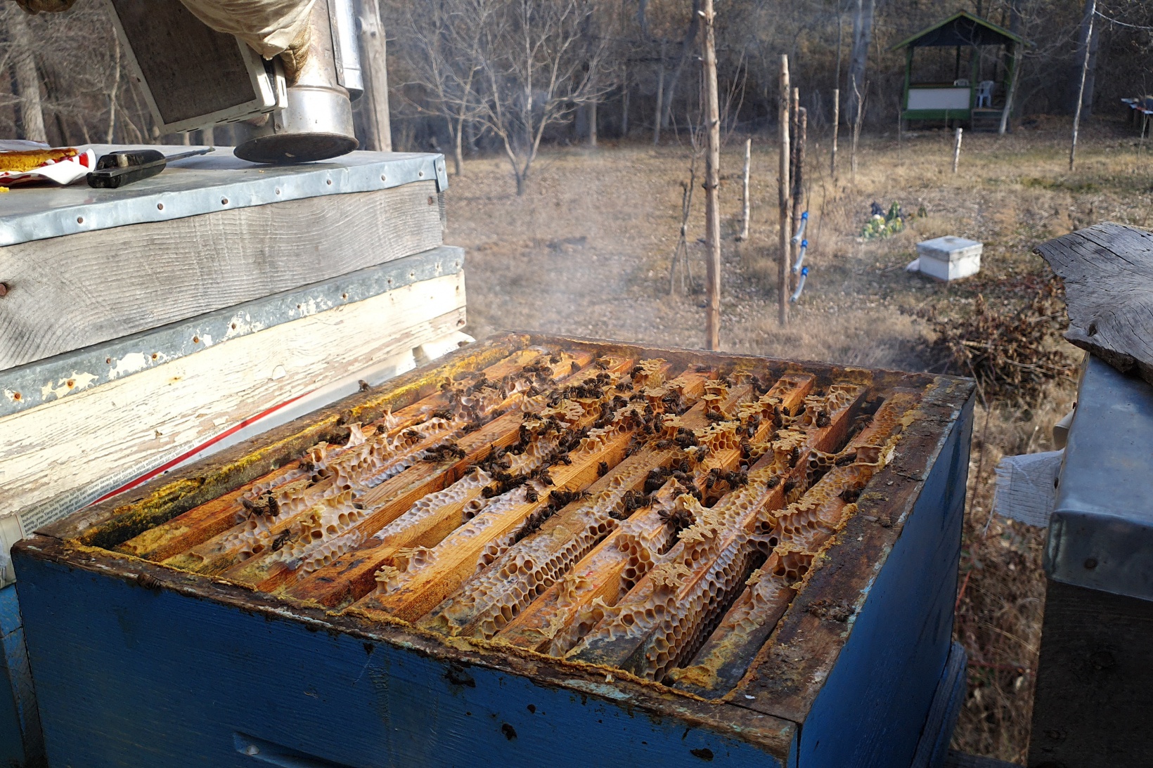 Gümüşhane’de kuraklık arıların dengesini değiştirdi 2