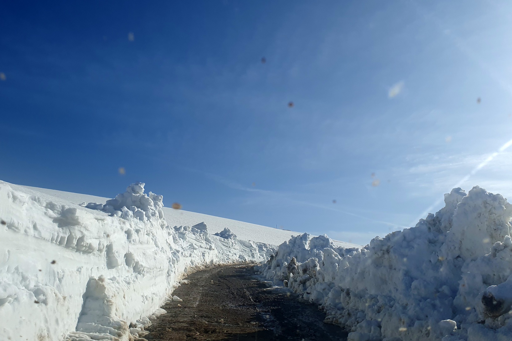 Gümüşhane yaylalarında karla mücadele devam ediyor 1
