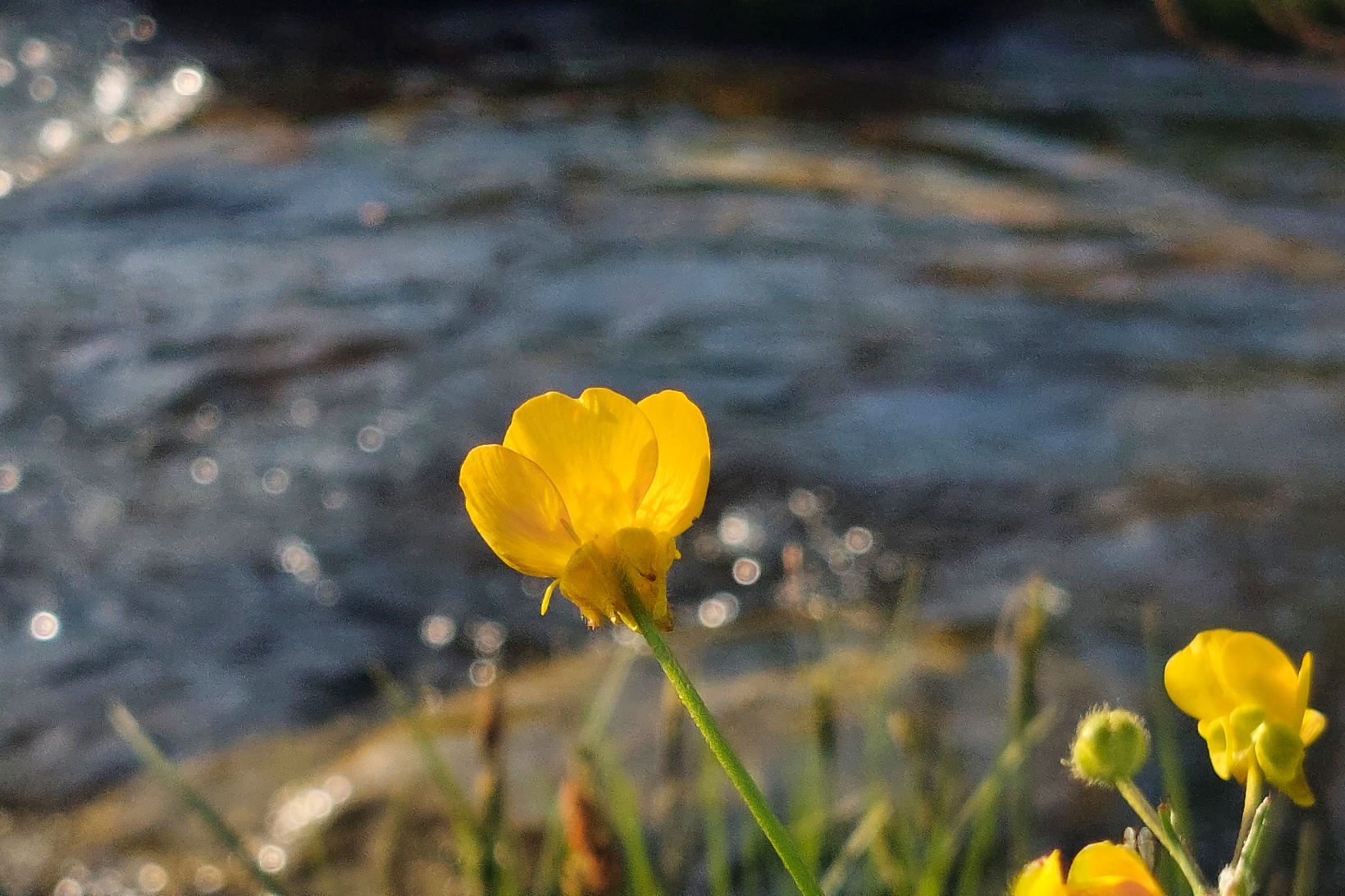 Bu manzarayı görebilmek için 10 gün kaldı 1