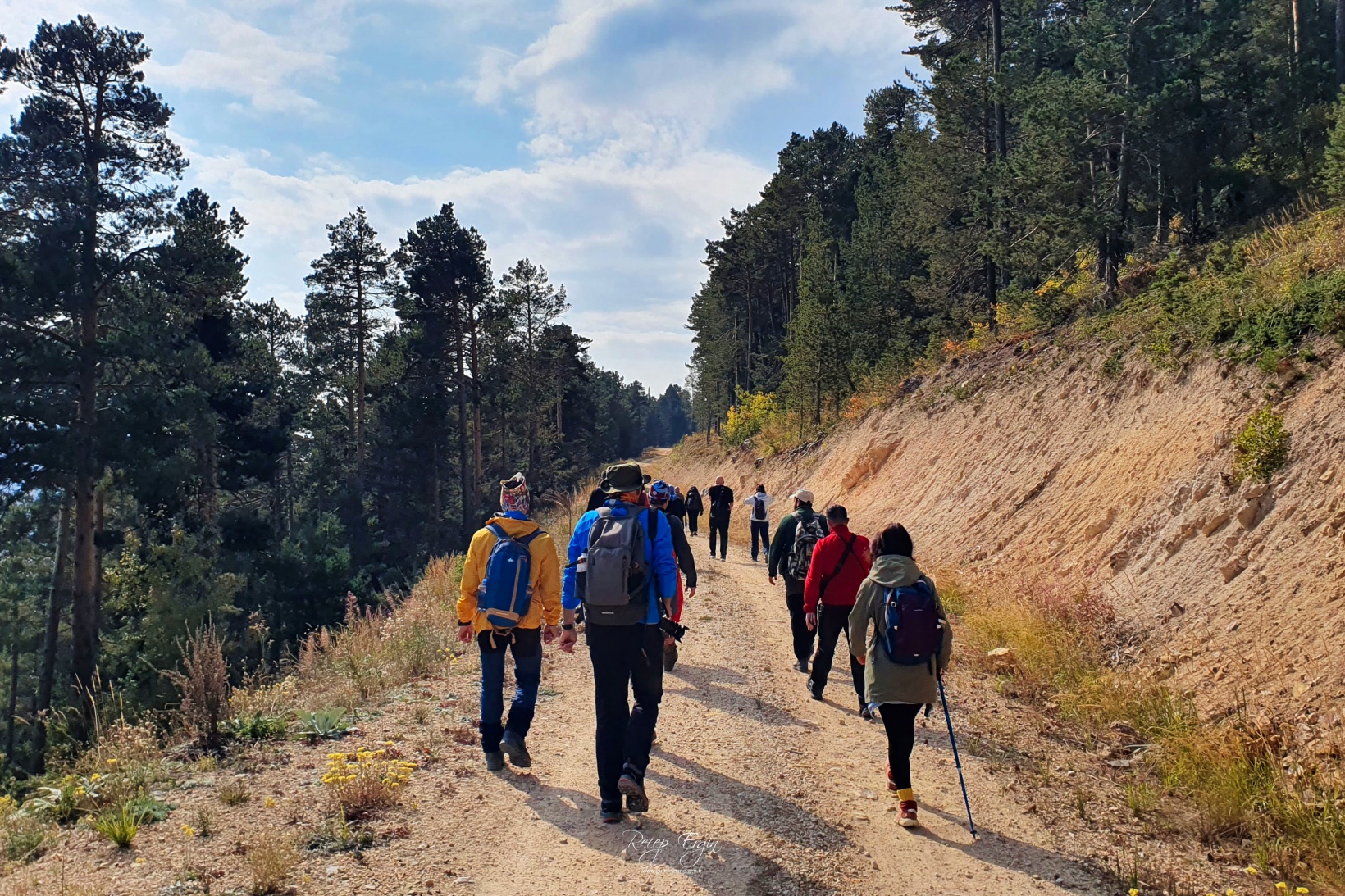 Sonbaharın büyüleyici renkleri Gümüşhane'yi sardı 26