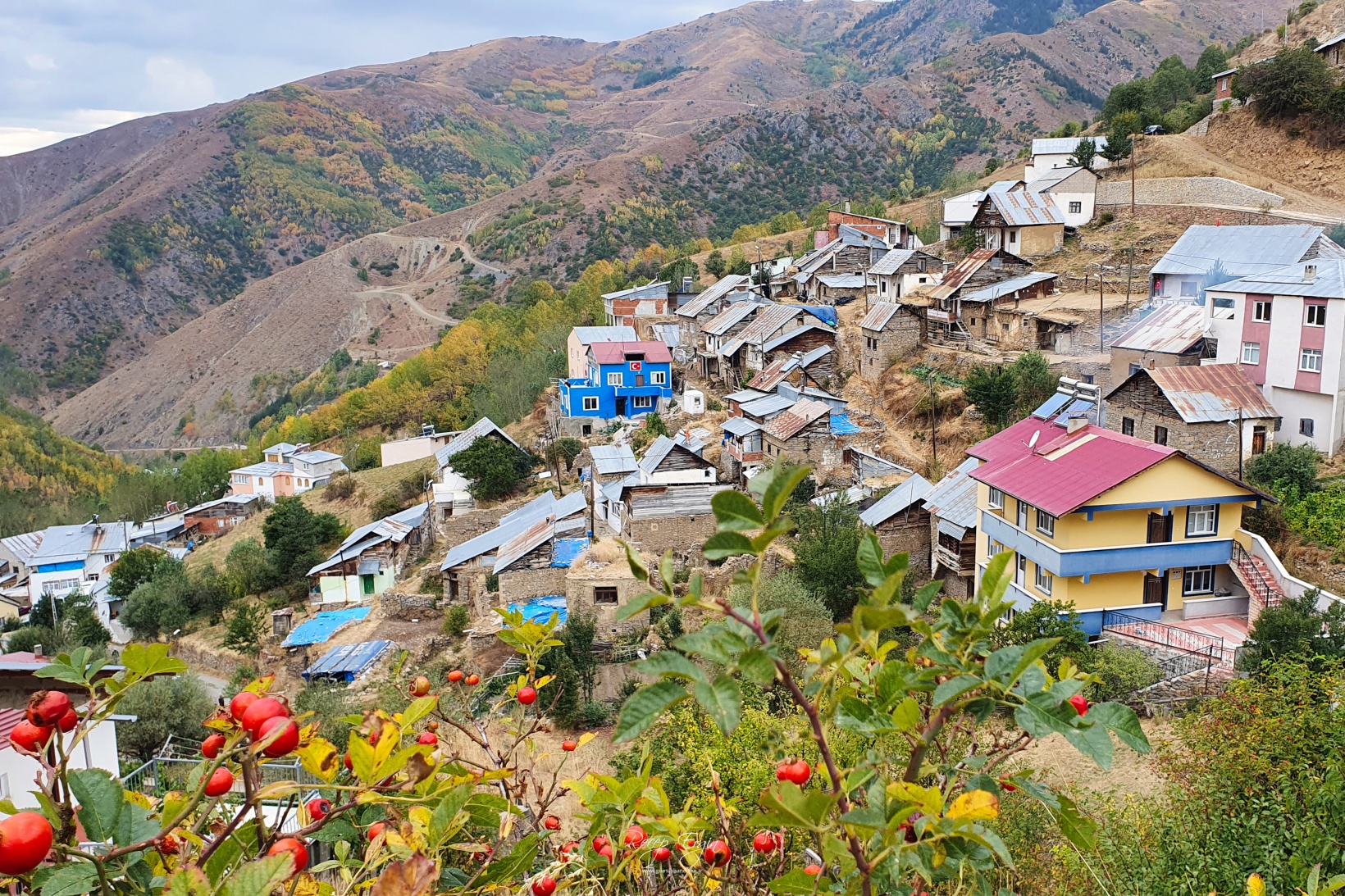 Sonbaharın büyüleyici renkleri Gümüşhane'yi sardı 80