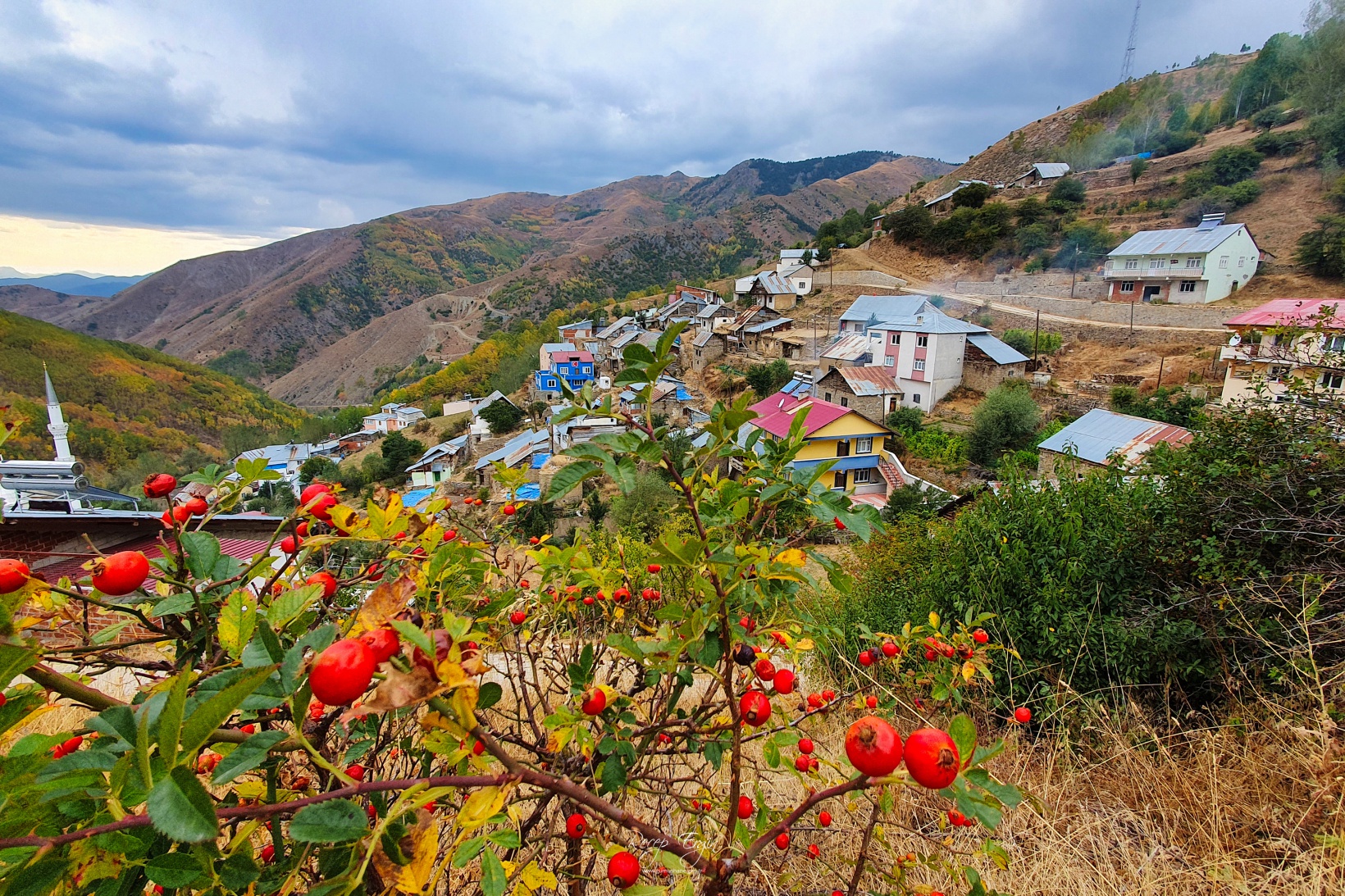 Sonbaharın büyüleyici renkleri Gümüşhane'yi sardı 61