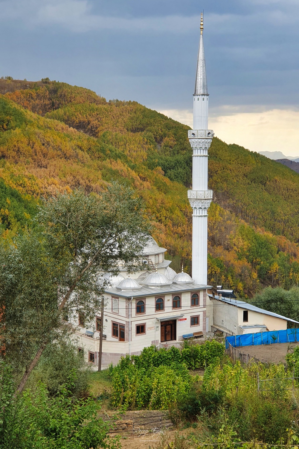 Sonbaharın büyüleyici renkleri Gümüşhane'yi sardı 25