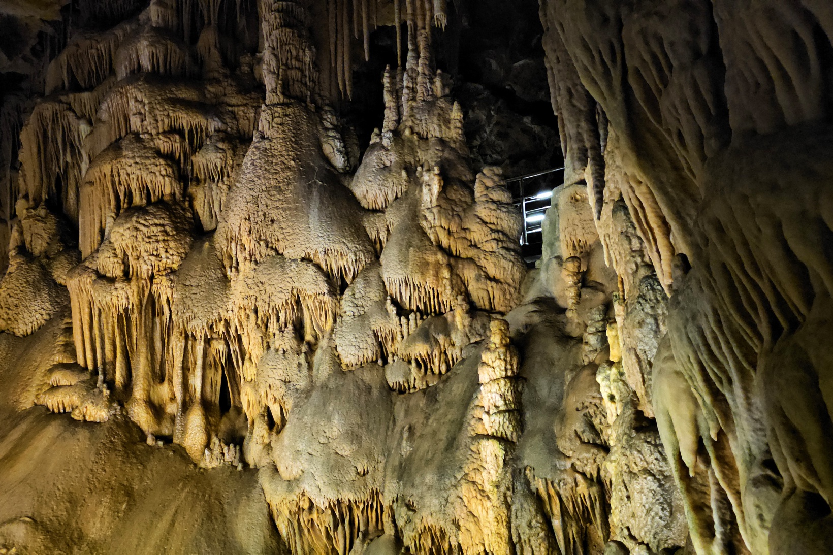 Afrika sıcaklarından kaçan soluğu Karaca Mağarasında alıyor 7