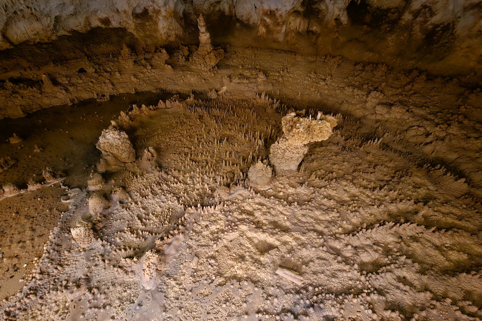 Afrika sıcaklarından kaçan soluğu Karaca Mağarasında alıyor 6