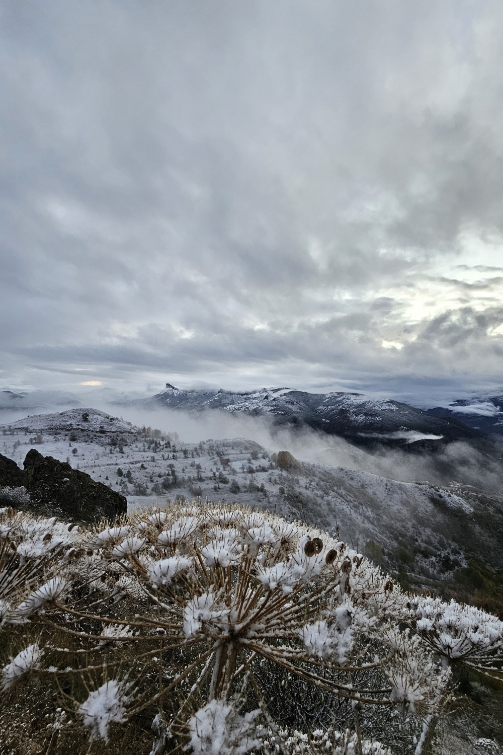 Gümüşhane yaylaları kar altında 12
