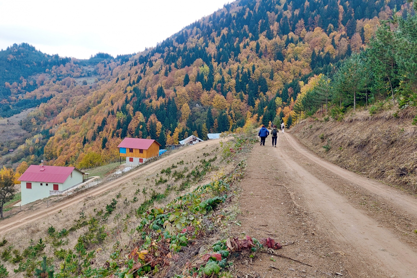Gümüşhane'de sonbahar tüm ihtişamıyla devam ediyor 10