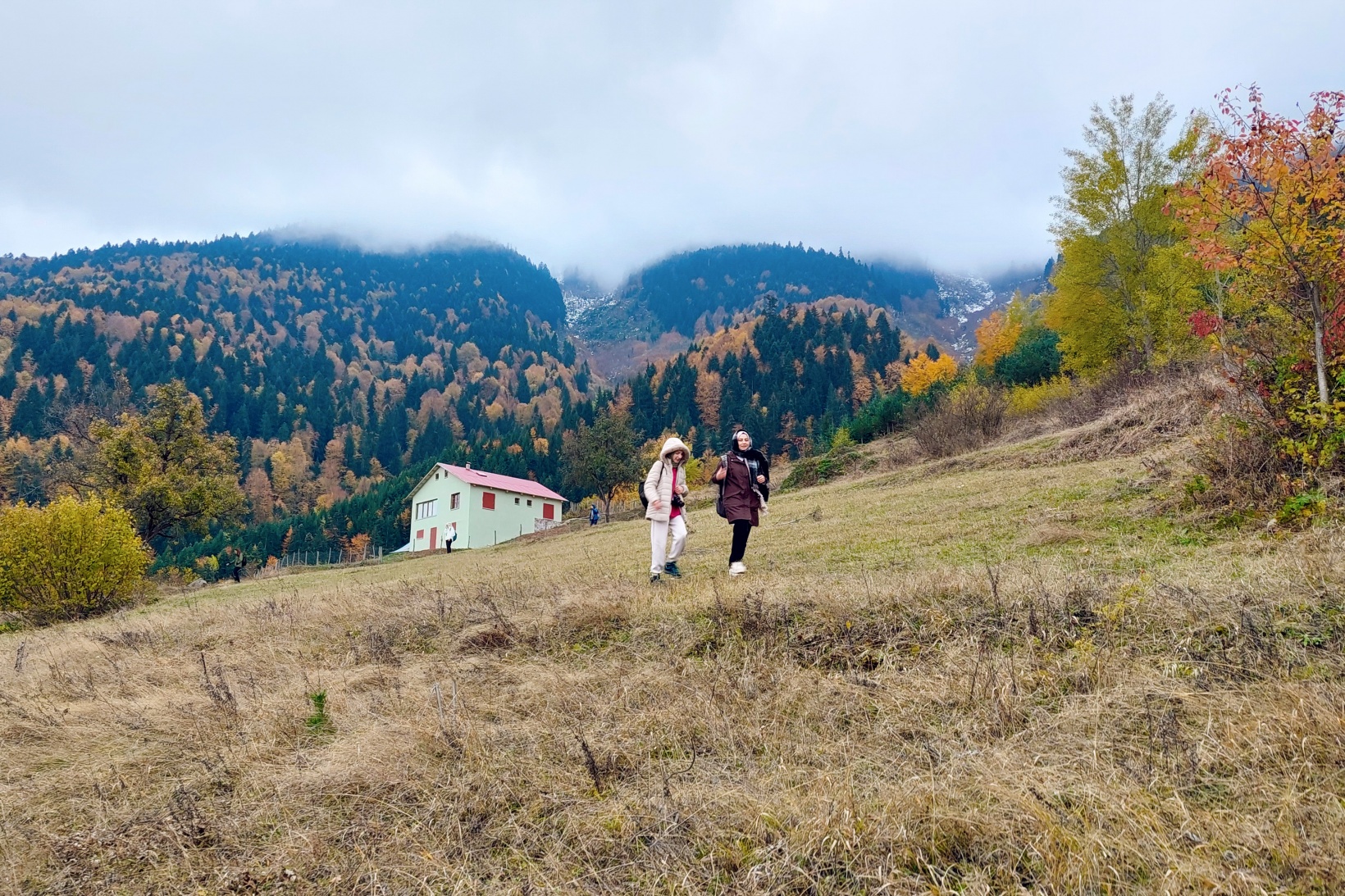 Gümüşhane'de sonbahar tüm ihtişamıyla devam ediyor 18