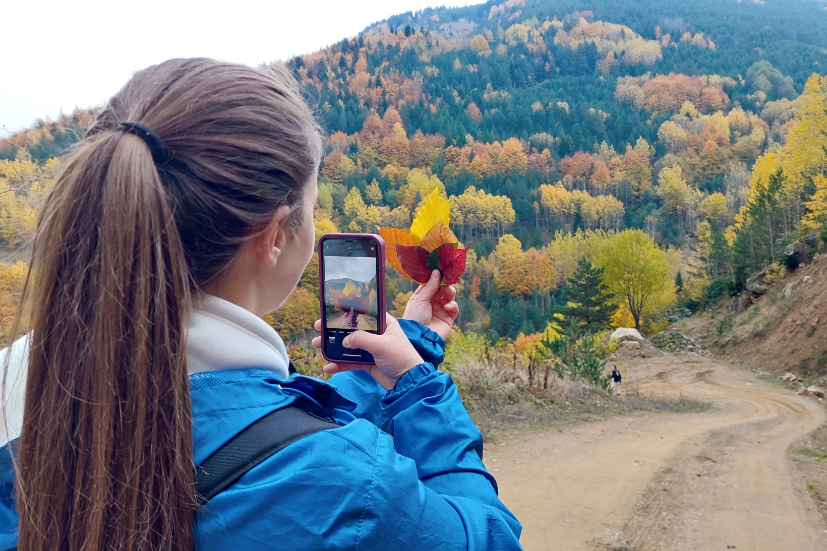 Gümüşhane'de sonbahar tüm ihtişamıyla devam ediyor 6