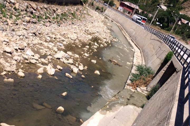 Harşit çayında balık ölümleri korkutuyor 1