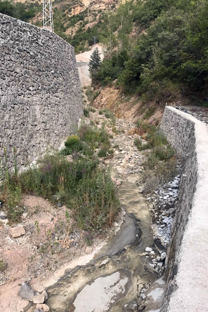 Harşit çayında balık ölümleri korkutuyor 3