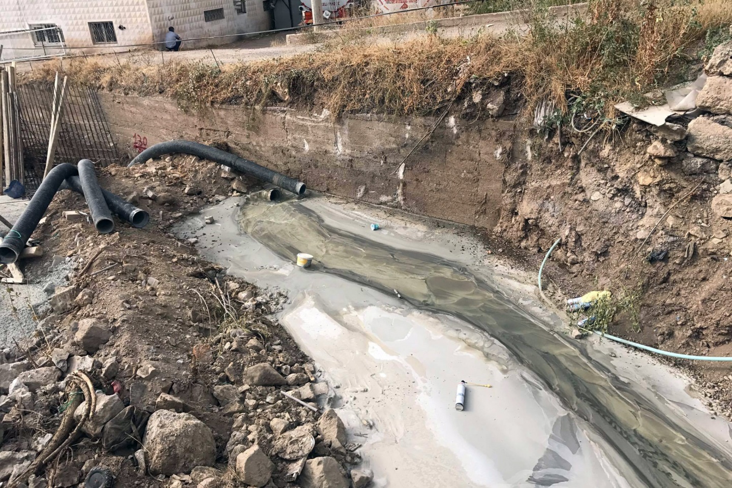 Harşit çayında balık ölümleri korkutuyor 8