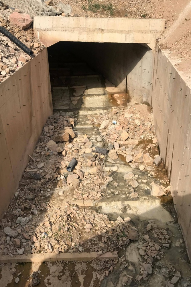 Harşit çayında balık ölümleri korkutuyor 4