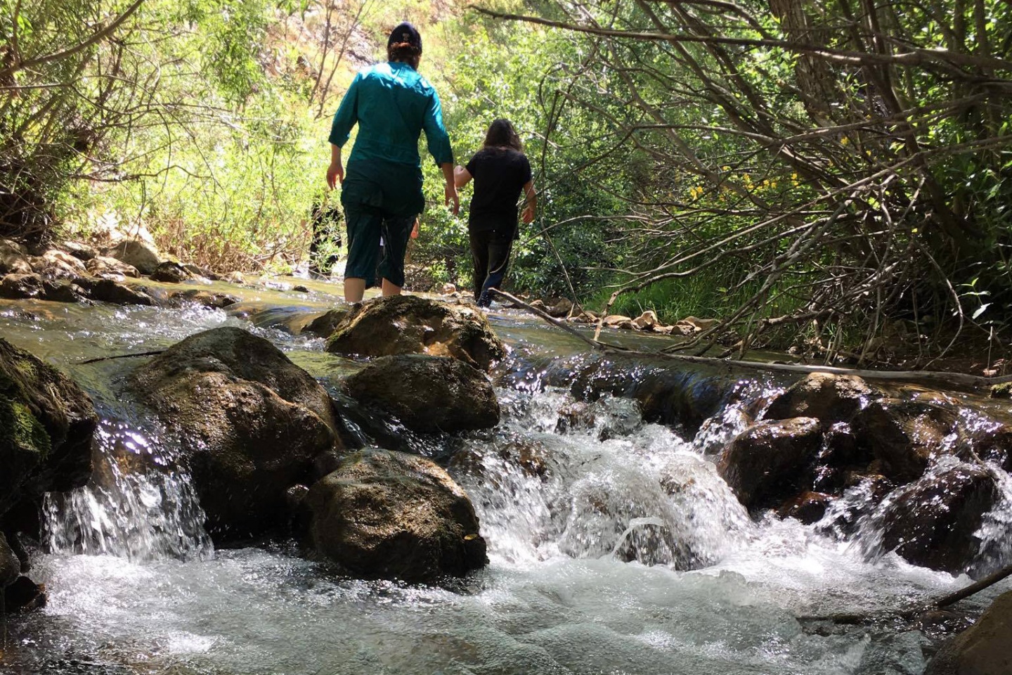 Gümüşhaneli dağcılardan Kelkit kanyonunda zorlu yürüyüş 3